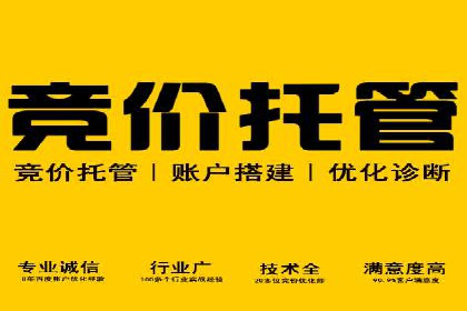 案例解读：信息流代理在电商领域的应用